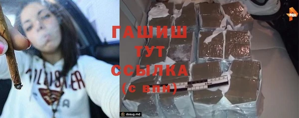 прущие грибы Сатка