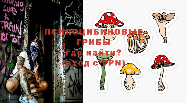 PSILOCYBIN Баксан