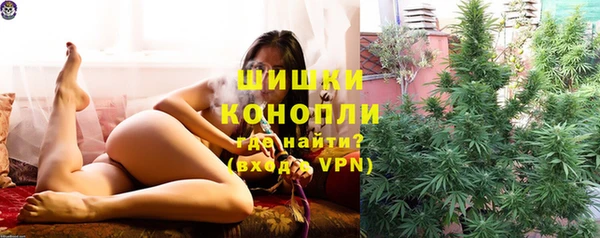 PSILOCYBIN Баксан